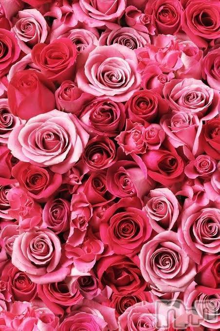 上越デリヘル上越風俗出張アロママッサージ(ジョウエツフウゾクシュッチョウアロママッサージ)ゆずき☆(37)の2021年2月24日写メブログ「ありがとうございました♡」