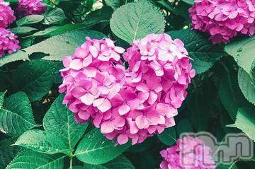 上越デリヘル上越風俗出張アロママッサージ(ジョウエツフウゾクシュッチョウアロママッサージ)ゆずき☆(37)の2021年12月26日写メブログ「ありがとうございました^_^」