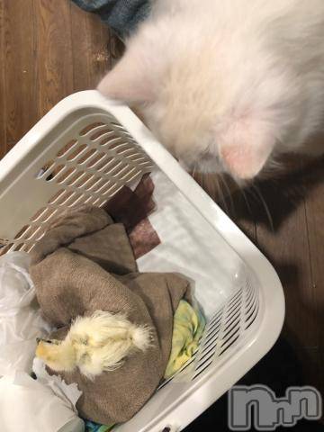 上越デリヘル上越風俗出張アロママッサージ(ジョウエツフウゾクシュッチョウアロママッサージ)ゆずき☆(37)の2022年1月26日写メブログ「ありがとうございました^ - ^」