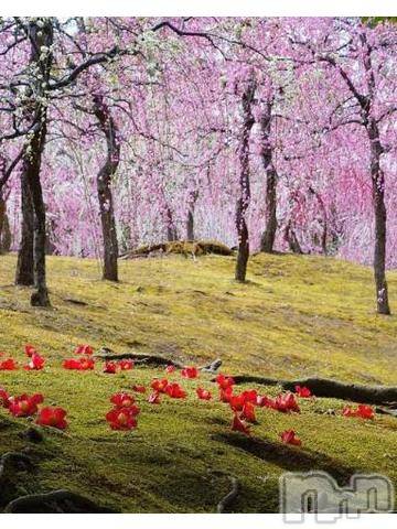 上越デリヘル上越風俗出張アロママッサージ(ジョウエツフウゾクシュッチョウアロママッサージ)ゆずき☆(37)の2022年4月6日写メブログ「ありがとうございました^ - ^」