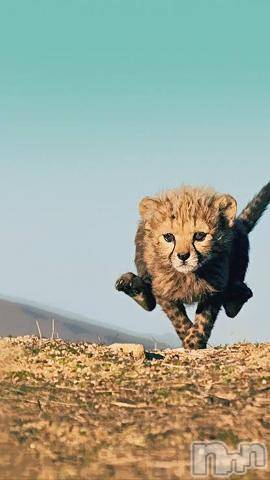 上越デリヘル上越風俗出張アロママッサージ(ジョウエツフウゾクシュッチョウアロママッサージ)ゆずき☆(37)の2022年11月21日写メブログ「ありがとうございました^ - ^」