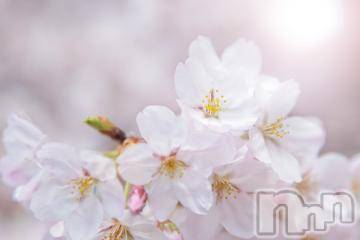 上越デリヘル上越風俗出張アロママッサージ(ジョウエツフウゾクシュッチョウアロママッサージ)ゆずき☆(37)の2023年4月24日写メブログ「ありがとうございました^ - ^」