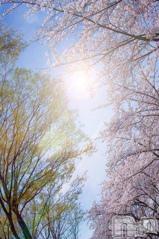 上越デリヘル上越風俗出張アロママッサージ(ジョウエツフウゾクシュッチョウアロママッサージ)ゆずき☆(37)の2023年4月24日写メブログ「ありがとうございました^ - ^」