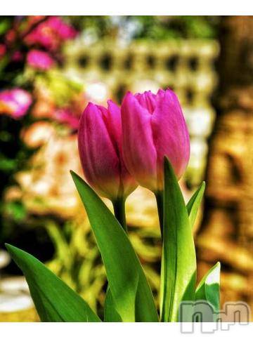 上越デリヘル上越風俗出張アロママッサージ(ジョウエツフウゾクシュッチョウアロママッサージ)ゆずき☆(37)の2023年6月1日写メブログ「ありがとうございました^ - ^」