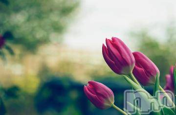 上越デリヘル上越風俗出張アロママッサージ(ジョウエツフウゾクシュッチョウアロママッサージ)ゆずき☆(37)の2023年6月25日写メブログ「ありがとうございました^ - ^」