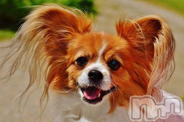 上越デリヘル上越風俗出張アロママッサージ(ジョウエツフウゾクシュッチョウアロママッサージ)ゆずき☆(37)の2023年8月11日写メブログ「ありがとうございました^ - ^」