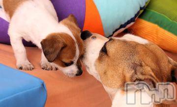 上越デリヘル上越風俗出張アロママッサージ(ジョウエツフウゾクシュッチョウアロママッサージ)ゆずき☆(37)の2023年8月14日写メブログ「ありがとうございました^ - ^」