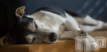 上越デリヘル上越風俗出張アロママッサージ(ジョウエツフウゾクシュッチョウアロママッサージ)ゆずき☆(37)の2023年8月16日写メブログ「ありがとうございました^ - ^」