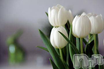 上越デリヘル上越風俗出張アロママッサージ(ジョウエツフウゾクシュッチョウアロママッサージ)ゆずき☆(37)の2023年10月7日写メブログ「ありがとうございました^ - ^」