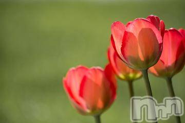 上越デリヘル上越風俗出張アロママッサージ(ジョウエツフウゾクシュッチョウアロママッサージ)ゆずき☆(37)の2023年11月17日写メブログ「ありがとうございました^ - ^」