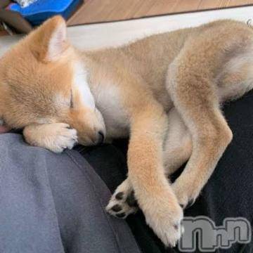 上越デリヘル上越風俗出張アロママッサージ(ジョウエツフウゾクシュッチョウアロママッサージ)ゆずき☆(37)の2024年2月28日写メブログ「本日も」