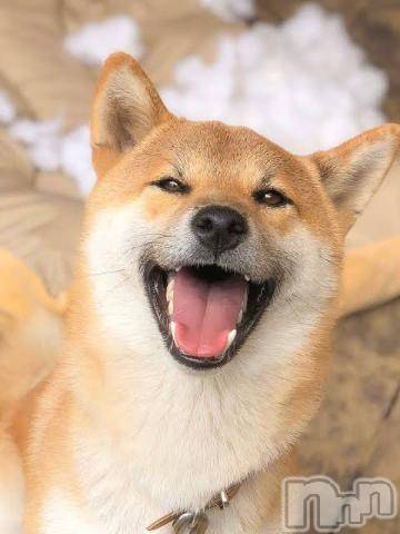 上越デリヘル上越風俗出張アロママッサージ(ジョウエツフウゾクシュッチョウアロママッサージ)ゆずき☆(37)の2024年4月21日写メブログ「ありがとうございました^ ^」