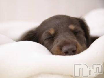 上越デリヘル上越風俗出張アロママッサージ(ジョウエツフウゾクシュッチョウアロママッサージ)ゆずき☆(37)の2024年5月5日写メブログ「ありがとうございました^ ^」