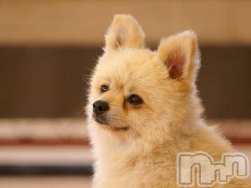 上越デリヘル上越風俗出張アロママッサージ(ジョウエツフウゾクシュッチョウアロママッサージ)ゆずき☆(37)の2024年5月22日写メブログ「ありがとうございました^ ^」