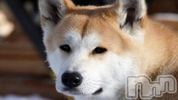 上越風俗エステ上越風俗出張アロママッサージ(ジョウエツフウゾクシュッチョウアロママッサージ)ゆずき☆(37)の2024年5月31日写メブログ「ありがとうございました^ ^」