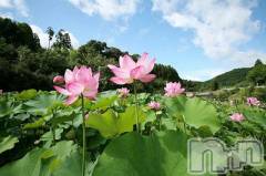 上越デリヘル上越風俗出張アロママッサージ(ジョウエツフウゾクシュッチョウアロママッサージ) ゆずき☆(37)の7月23日写メブログ「ありがとうございました⭐⭐」