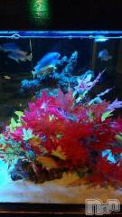 上越デリヘル上越風俗出張アロママッサージ(ジョウエツフウゾクシュッチョウアロママッサージ) ゆずき☆(37)の8月11日写メブログ「ありがとうございました！」