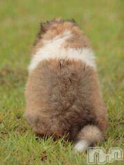 上越デリヘル上越風俗出張アロママッサージ(ジョウエツフウゾクシュッチョウアロママッサージ) ゆずき☆(37)の9月15日写メブログ「ありがとうございました！」