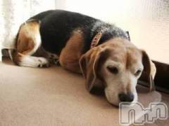 上越デリヘル上越風俗出張アロママッサージ(ジョウエツフウゾクシュッチョウアロママッサージ) ゆずき☆(37)の9月15日写メブログ「ありがとうございました！」