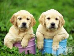 上越デリヘル上越風俗出張アロママッサージ(ジョウエツフウゾクシュッチョウアロママッサージ) ゆずき☆(37)の10月8日写メブログ「ありがとうございました！」