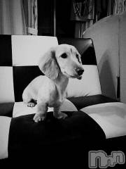 上越デリヘル上越風俗出張アロママッサージ(ジョウエツフウゾクシュッチョウアロママッサージ) ゆずき☆(37)の12月10日写メブログ「ありがとうございました」