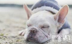 上越デリヘル上越風俗出張アロママッサージ(ジョウエツフウゾクシュッチョウアロママッサージ) ゆずき☆(37)の12月10日写メブログ「ありがとうございました」