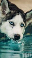 上越デリヘル上越風俗出張アロママッサージ(ジョウエツフウゾクシュッチョウアロママッサージ) ゆずき☆(37)の12月27日写メブログ「ありがとうございました」