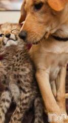 上越デリヘル上越風俗出張アロママッサージ(ジョウエツフウゾクシュッチョウアロママッサージ) ゆずき☆(37)の12月27日写メブログ「ありがとうございました」