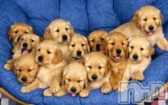 上越デリヘル上越風俗出張アロママッサージ(ジョウエツフウゾクシュッチョウアロママッサージ) ゆずき☆(37)の12月27日写メブログ「ありがとうございました」