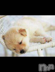 上越デリヘル上越風俗出張アロママッサージ(ジョウエツフウゾクシュッチョウアロママッサージ) ゆずき☆(37)の12月27日写メブログ「ありがとうございました」