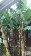 上越デリヘル上越風俗出張アロママッサージ(ジョウエツフウゾクシュッチョウアロママッサージ) ゆずき☆(37)の2月2日写メブログ「ありがとうございました」