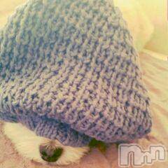 上越デリヘル上越風俗出張アロママッサージ(ジョウエツフウゾクシュッチョウアロママッサージ) ゆずき☆(37)の2月17日写メブログ「ありがとうございました」