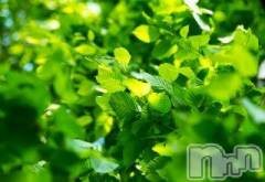 上越デリヘル上越風俗出張アロママッサージ(ジョウエツフウゾクシュッチョウアロママッサージ) ゆずき☆(37)の3月7日写メブログ「ありがとうございました」