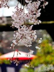 上越デリヘル上越風俗出張アロママッサージ(ジョウエツフウゾクシュッチョウアロママッサージ) ゆずき☆(37)の3月21日写メブログ「ありがとうございました」