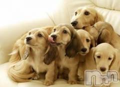 上越デリヘル上越風俗出張アロママッサージ(ジョウエツフウゾクシュッチョウアロママッサージ) ゆずき☆(37)の4月9日写メブログ「ありがとうございました」