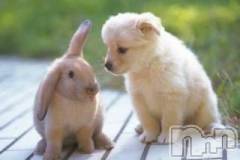 上越デリヘル上越風俗出張アロママッサージ(ジョウエツフウゾクシュッチョウアロママッサージ) ゆずき☆(37)の4月9日写メブログ「ありがとうございました」