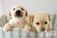 上越デリヘル上越風俗出張アロママッサージ(ジョウエツフウゾクシュッチョウアロママッサージ) ゆずき☆(37)の4月27日写メブログ「ありがとうございました」