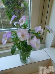 上越デリヘル上越風俗出張アロママッサージ(ジョウエツフウゾクシュッチョウアロママッサージ) ゆずき☆(37)の5月16日写メブログ「リフレッシュ」