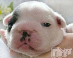 上越デリヘル上越風俗出張アロママッサージ(ジョウエツフウゾクシュッチョウアロママッサージ) ゆずき☆(37)の5月30日写メブログ「ありがとうございました」