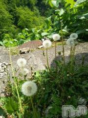 上越デリヘル上越風俗出張アロママッサージ(ジョウエツフウゾクシュッチョウアロママッサージ) ゆずき☆(37)の5月31日写メブログ「とんでけ～」