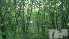 上越デリヘル上越風俗出張アロママッサージ(ジョウエツフウゾクシュッチョウアロママッサージ) ゆずき☆(37)の8月11日写メブログ「神社！」