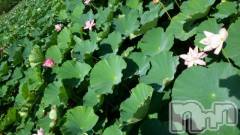 上越デリヘル上越風俗出張アロママッサージ(ジョウエツフウゾクシュッチョウアロママッサージ) ゆずき☆(37)の8月30日写メブログ「ありがとうございました」