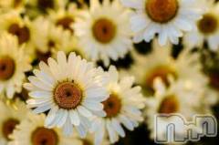 上越デリヘル上越風俗出張アロママッサージ(ジョウエツフウゾクシュッチョウアロママッサージ) ゆずき☆(37)の8月30日写メブログ「8月30日 17時26分の写メブログ」