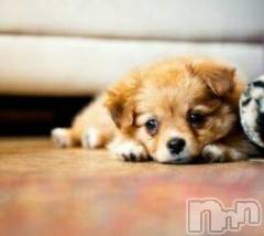 上越デリヘル上越風俗出張アロママッサージ(ジョウエツフウゾクシュッチョウアロママッサージ) ゆずき☆(37)の9月21日写メブログ「ありがとうございました」