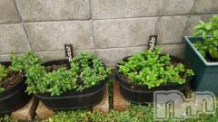 上越デリヘル上越風俗出張アロママッサージ(ジョウエツフウゾクシュッチョウアロママッサージ) ゆずき☆(37)の5月1日写メブログ「ありがとうございました❤︎」