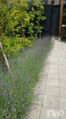 上越デリヘル上越風俗出張アロママッサージ(ジョウエツフウゾクシュッチョウアロママッサージ) ゆずき☆(37)の5月1日写メブログ「ありがとうございました❤︎」