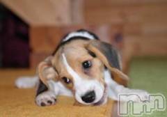 上越デリヘル上越風俗出張アロママッサージ(ジョウエツフウゾクシュッチョウアロママッサージ) ゆずき☆(37)の5月20日写メブログ「ありがとうございました♡」