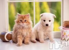 上越デリヘル上越風俗出張アロママッサージ(ジョウエツフウゾクシュッチョウアロママッサージ) ゆずき☆(37)の5月21日写メブログ「ありがとうございました♡」