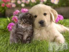 上越デリヘル上越風俗出張アロママッサージ(ジョウエツフウゾクシュッチョウアロママッサージ) ゆずき☆(37)の6月8日写メブログ「ありがとうございました♡」