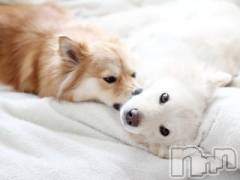 上越デリヘル上越風俗出張アロママッサージ(ジョウエツフウゾクシュッチョウアロママッサージ) ゆずき☆(37)の6月11日写メブログ「ありがとうございました♡」